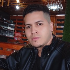 David Ibiza Músic
