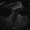 Rhaast