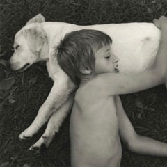 deadlykillerassassin3372779