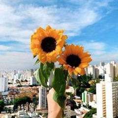 Thu Thủy