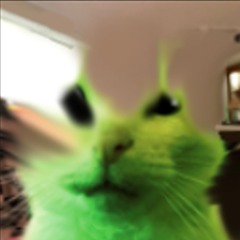 Muchomore