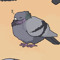 Pigeonio