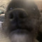 j Dog