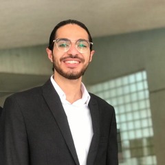 Mohamed Shawkey