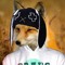 ꧁Foxxy꧂