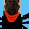 mynameisrekted