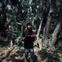 lilzayy9