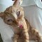 DJ IBONG Kece [DIK]