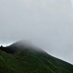 (mollfon)