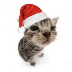 kitkit