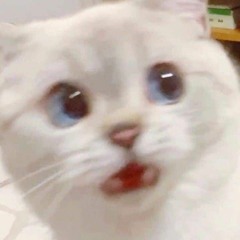 Stream 윤띠링띠링 Music | Listen To Songs, Albums, Playlists For Free On  Soundcloud