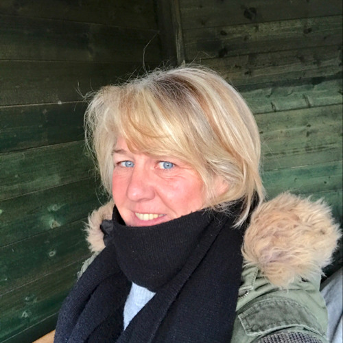 Karin Zündorff’s avatar