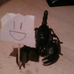 Friendly Friend