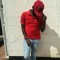 Antony Bricks