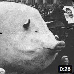 Дженна крюгер vampire