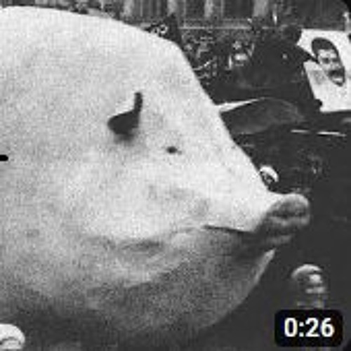 Дженна крюгер vampire