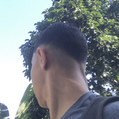 Vking5