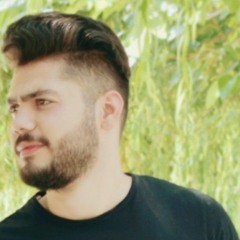 amir