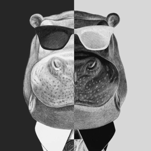 Don't Hippo’s avatar