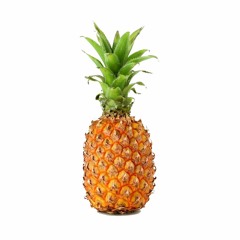 StandartPineapple