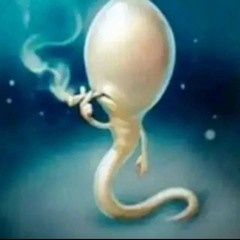 𝚙𝚒𝚟𝚘𝚐𝚕𝚘𝚝