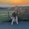BA​BY B