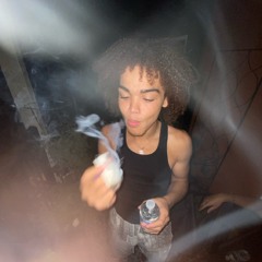 sb o-dog
