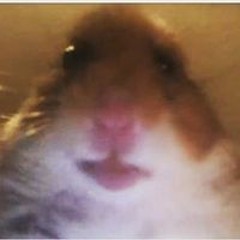 Ярослав Куралов