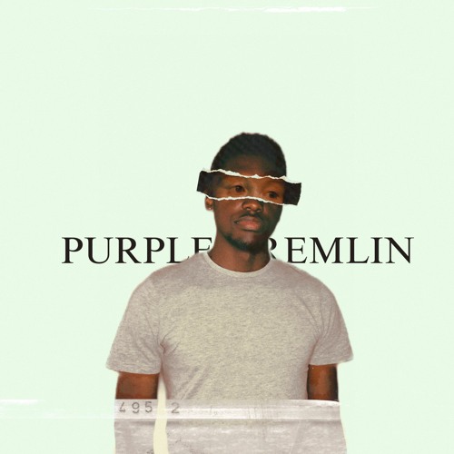 Purple Gremlin’s avatar