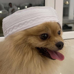 َ  ♔  ِ