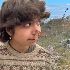 bingus