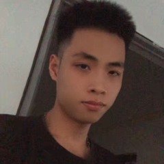 Duc Anh