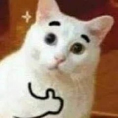 Đan