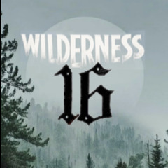 Wilderness 16