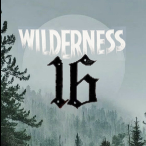 Wilderness 16’s avatar