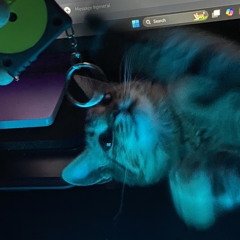 dashghost