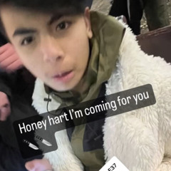 Honey hart