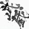 Seven  Chen