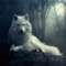 WhiteWolf