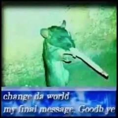 noah888