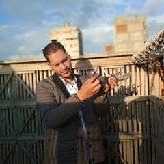 علاء المصرى