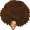 TriHard Cx