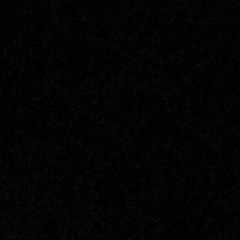 user49475748229385859929929