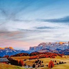 سامي المعداوي