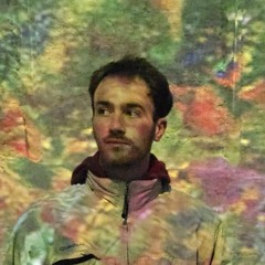 Vincent
