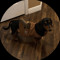 boodreaux_
