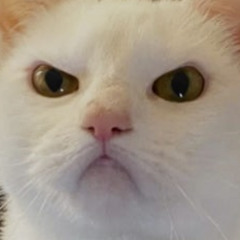 nyachan