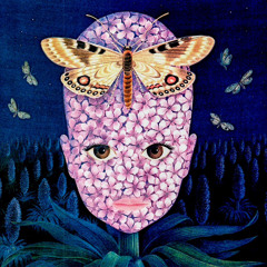 CRYSTALUPHORIA