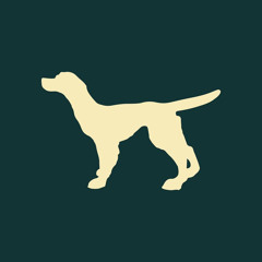 Radio de Koperen Hond