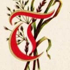 10 SEPT 2025 Who's the brat?